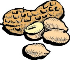 Illustration of a whole peanut shell next to a few peanuts.