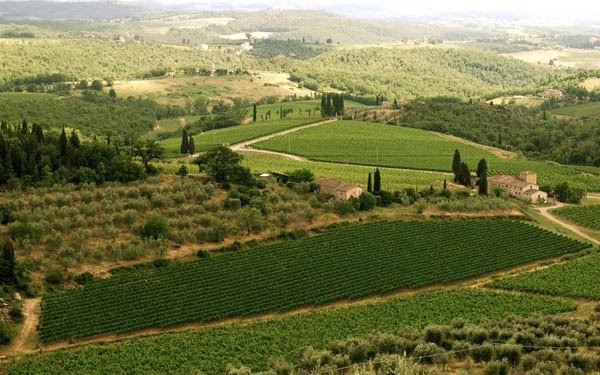 The countryside around Castello di Cacchiano in Tuscany, Italy.