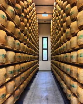 Wheels of Parmigiano Reggiano aging in Giorgio Cravero's cheese caves in Bra, Italy