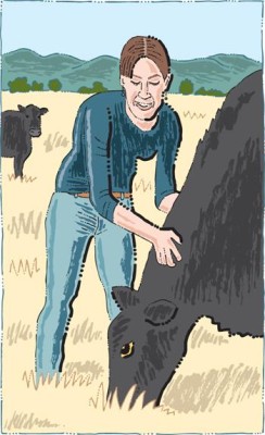 An illustration of Cory Carman with her cattle on Carman Ranch in Wallowa, Oregon