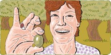 Marina Colonna's Mita Verde and Mita Nera Olives