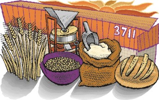Illustration of whole grain, flour, and our granite mill at Zingerman's Bakehouse