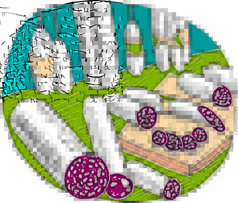 Illustration of an array of salamis, some hanging and whole and some sliced on a cutting board.