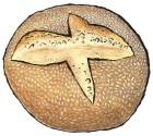Sesame semolina round bread