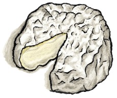 Zingerman's Mini Brie Cheese