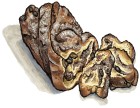 Chocolate raisin babka, whole and slices