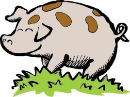 Illustration of a pig
