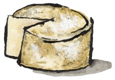 Cabot Clothbound Cheddar Cheese aged at Jasper Hill