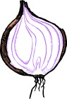 Illustration of the cut half of a purple-hued shallot