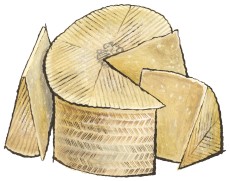 Raw Milk Manchego selected for Essex St. Cheese