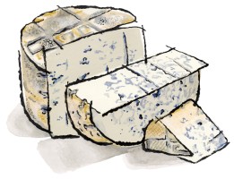 Illustration of a wheel of blue cheese