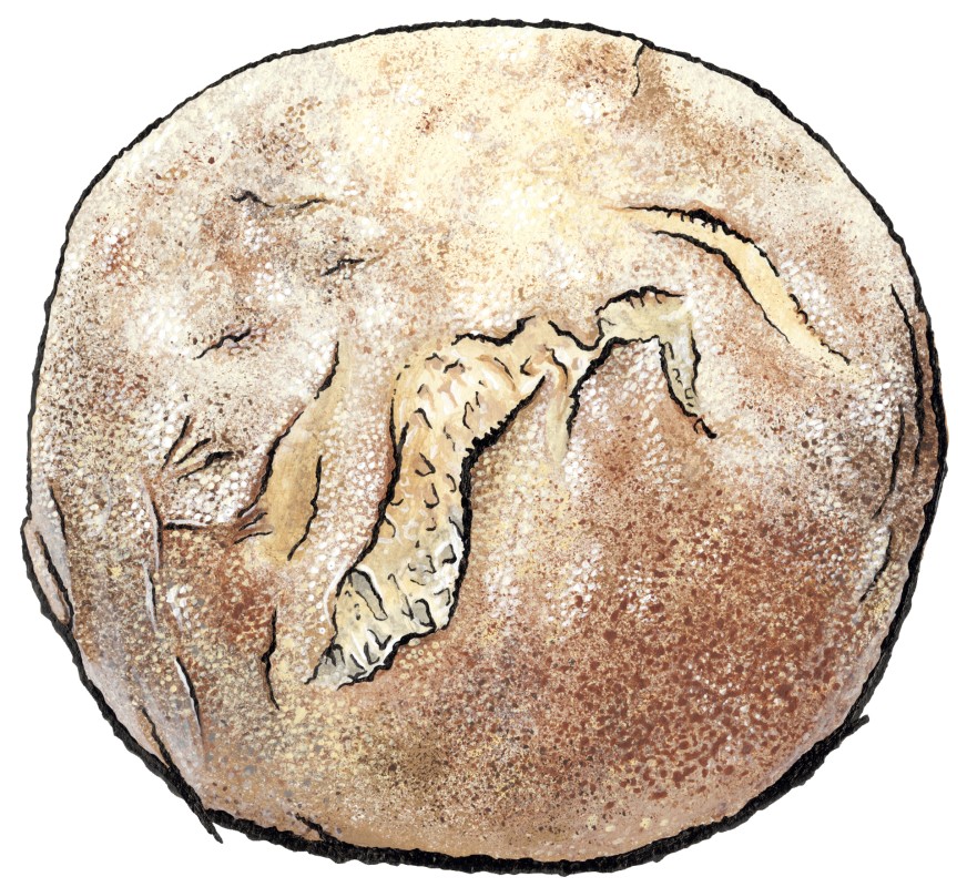 Paesano Bread for sale. Buy online at Zingerman's Mail Order. Gourmet