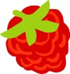 Michigan Raspberry Sorbet