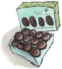 Summerdown Chocolate Peppermint Candies