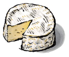 Camembert Cheese from Normandy