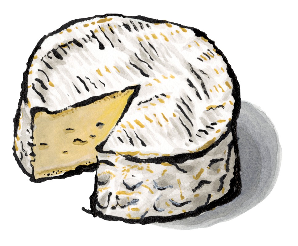 Camembert Cheese for sale. Buy online at Zingerman's Mail Order