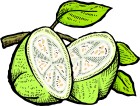 Dried Pearl Guava