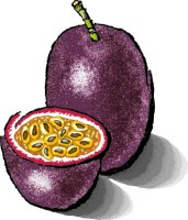 Illustration of a passion fruit