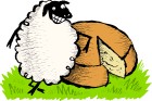 Rispens Sheep Gouda Cheese selected by L'Amuse