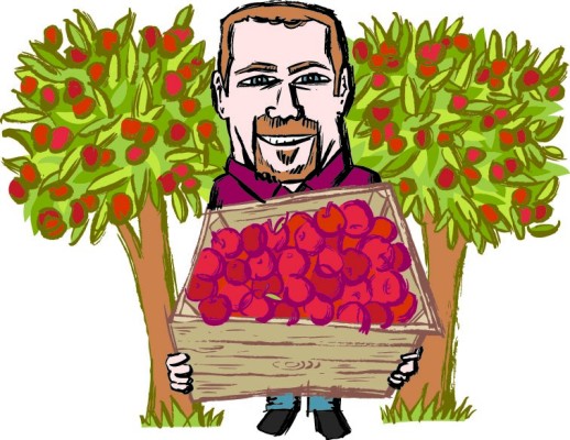 Illustration of a man standing in front of fruit trees holding a big box of red fruits
