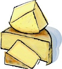 Whitney Cheese from Jasper Hill