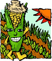 Illustration of cartoon corn walking through a field