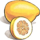 Menton Lemon Jam from Provence