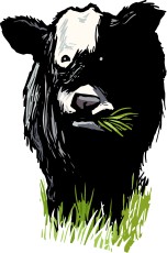 Anavery Farms Beef Jerky